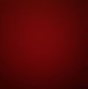 Meet your Posher, Lily